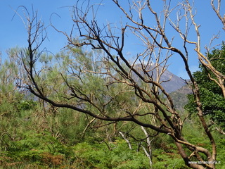 nte Rinatu-15-09-2019 10-03-57